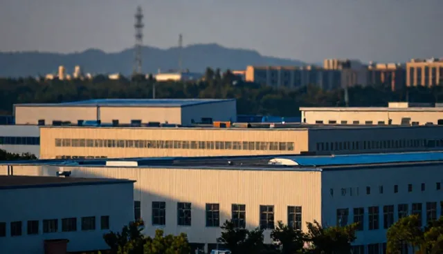 名录展示：消费者行为对产品性能的影响